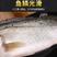 【包邮10斤鲈鱼】批发4斤5斤新鲜海产水鲜大海鲈鱼多规格