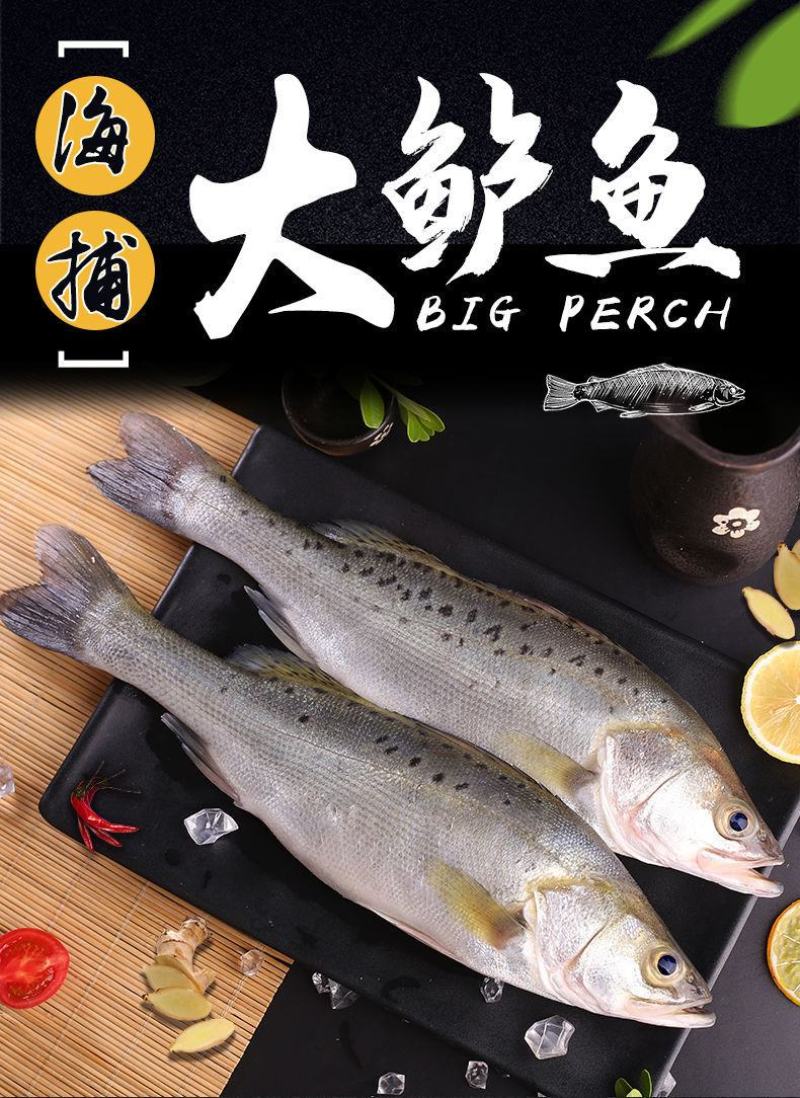 【包邮10斤鲈鱼】批发4斤5斤新鲜海产水鲜大海鲈鱼多规格