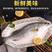 【包邮10斤鲈鱼】批发4斤5斤新鲜海产水鲜大海鲈鱼多规格