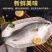 【包邮10斤鲈鱼】批发4斤5斤新鲜海产水鲜大海鲈鱼多规格