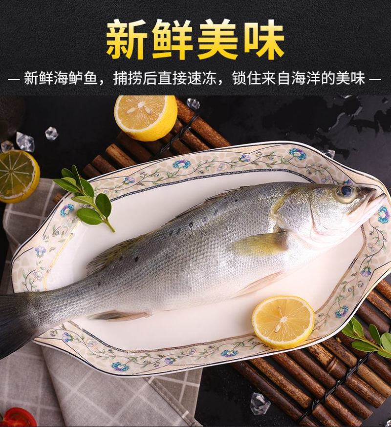 【包邮10斤鲈鱼】批发4斤5斤新鲜海产水鲜大海鲈鱼多规格