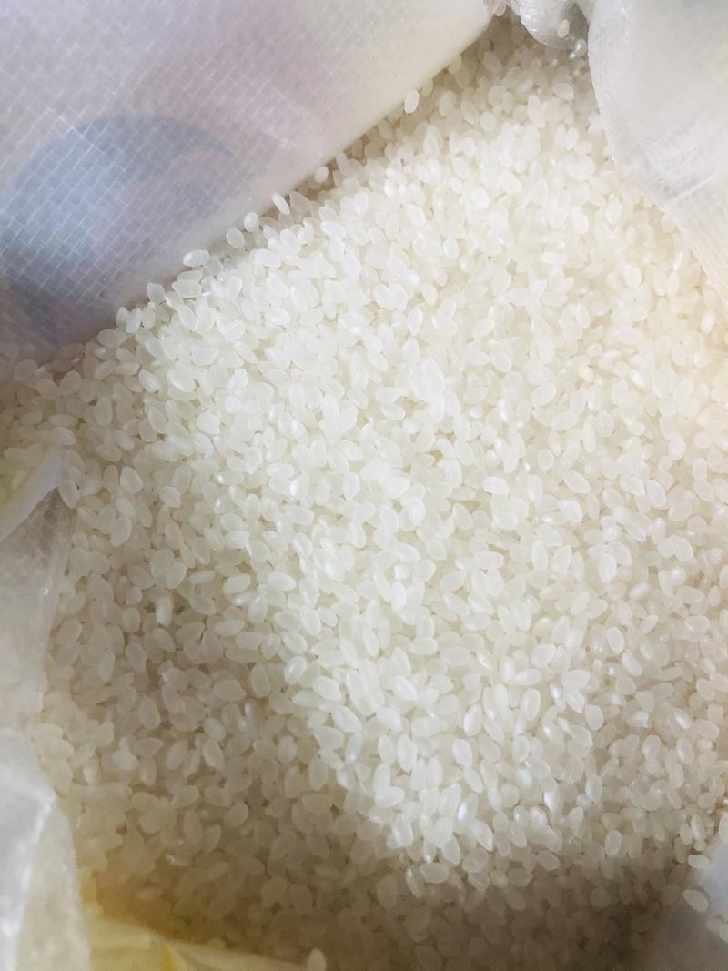 东北大米批发零售东北珍珠米长粒香大米团购一件代发
