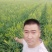 黄花菜苗金针菜苗种苗高产品种万亩基地