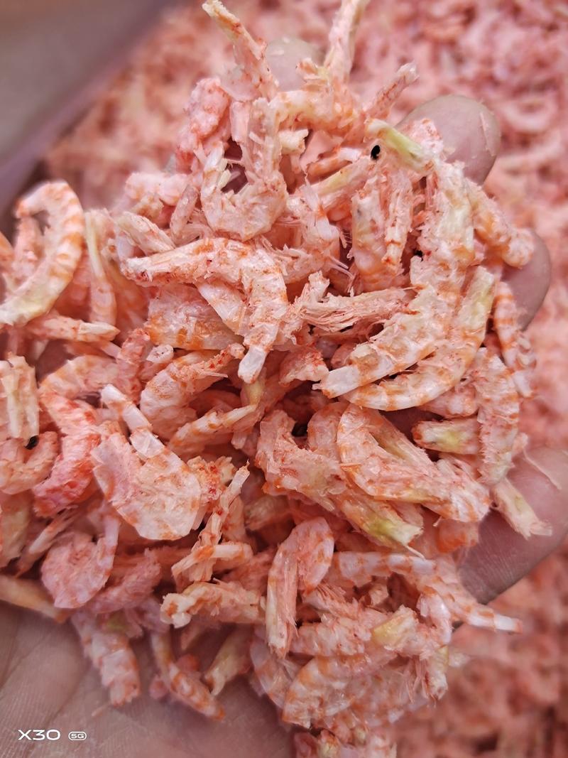 【热销款】磷虾海米虾仁！无盐干度好产地直销一手货源