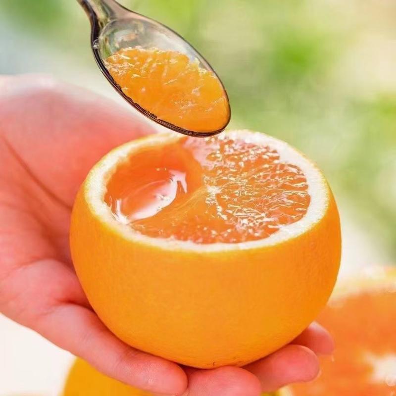 九月红果冻橙爱媛果冻橙纯甜多汁产地直果园直发