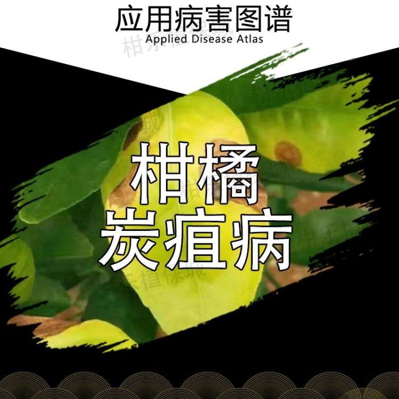 巴斯夫善常35%苯醚甲环唑·吡唑醚菌酯柑橘果树炭疽病植