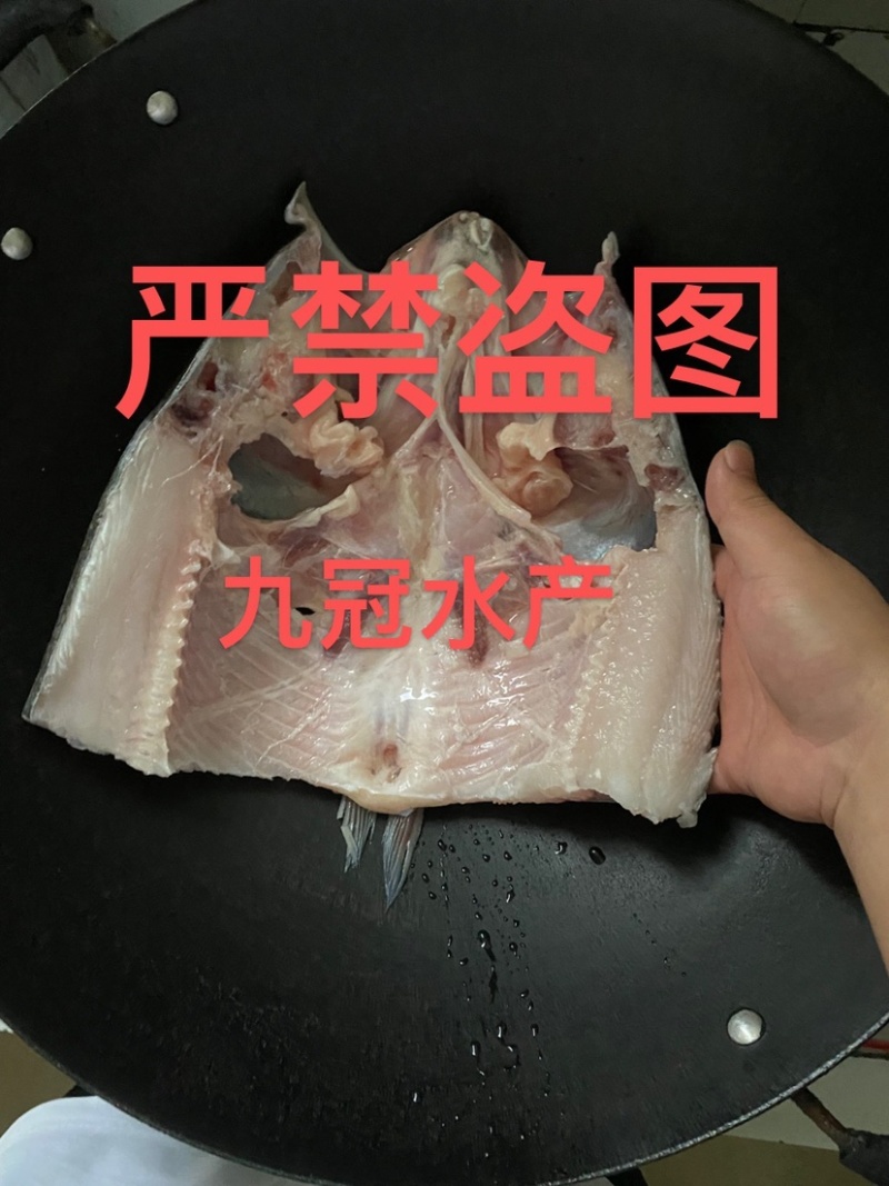 常年淡水鱼供应水产加工品