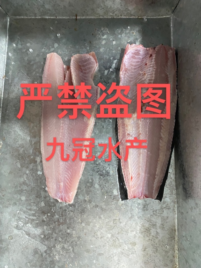 常年淡水鱼供应水产加工品