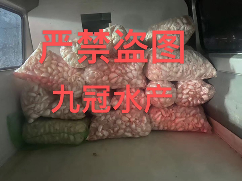 常年淡水鱼供应水产加工品