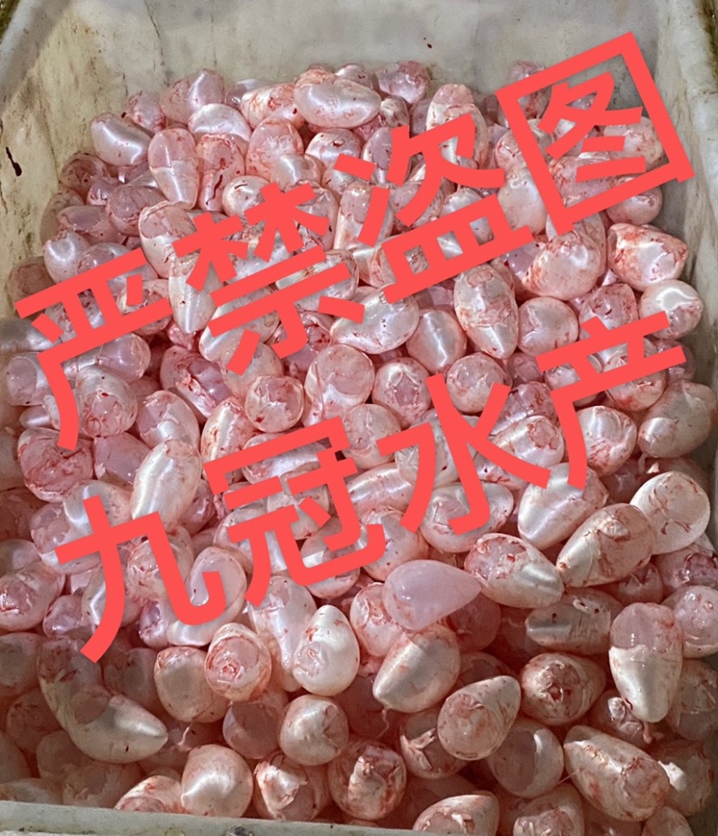 常年淡水鱼供应水产加工品