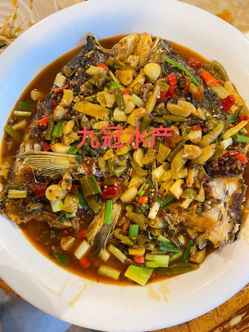 常年淡水鱼供应水产加工品