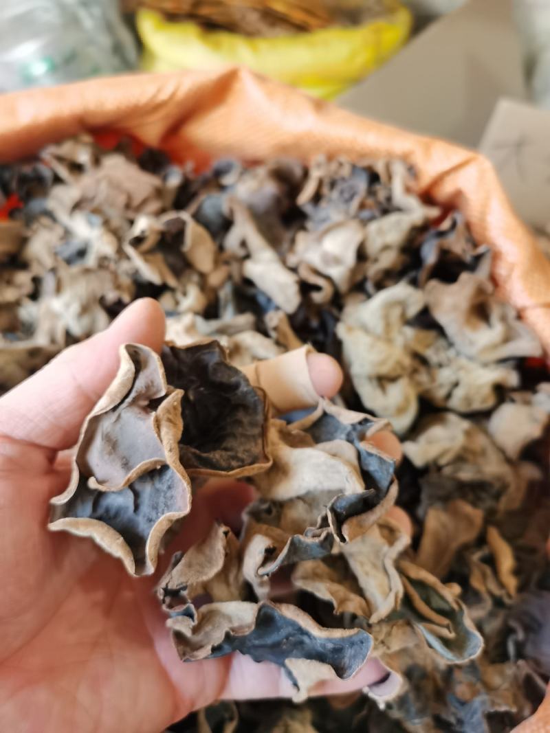 白背木耳，大瑶山椴木木耳，一手货源，品质保证