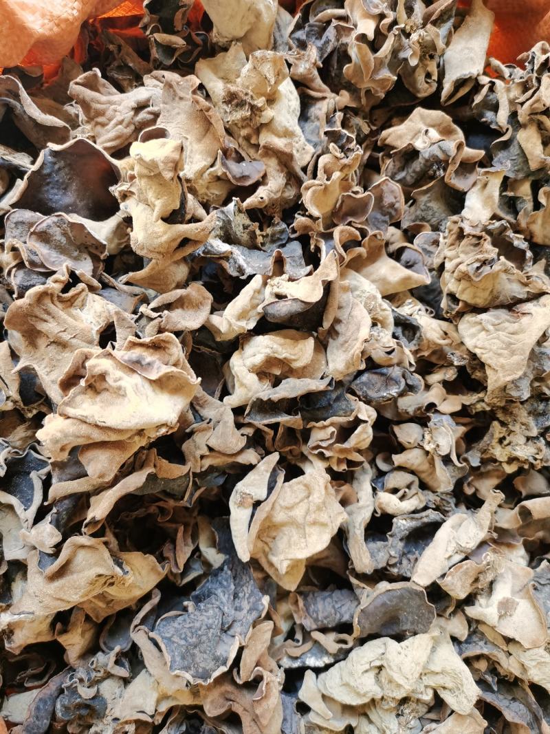 白背木耳，大瑶山椴木木耳，一手货源，品质保证