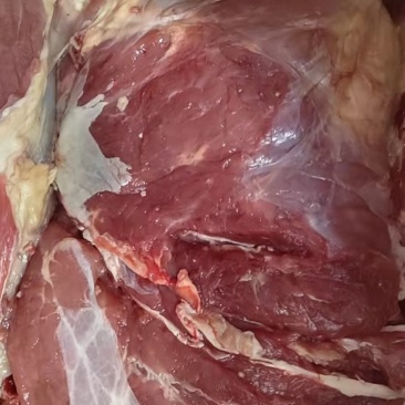 纯干鲜冻牛肉，厂家直销一手货源，物优价廉质量保证，