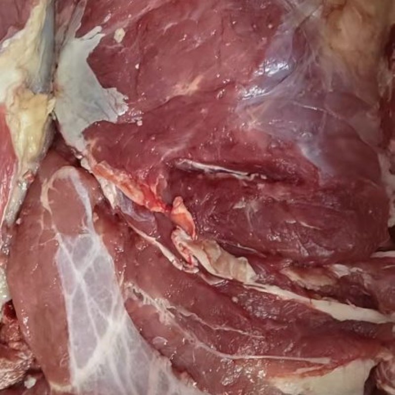 纯干鲜冻牛肉，厂家直销一手货源，物优价廉质量保证，