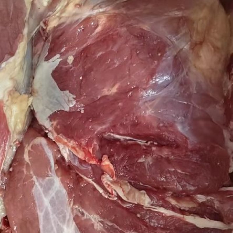 纯干鲜冻牛肉，厂家直销一手货源，物优价廉质量保证，