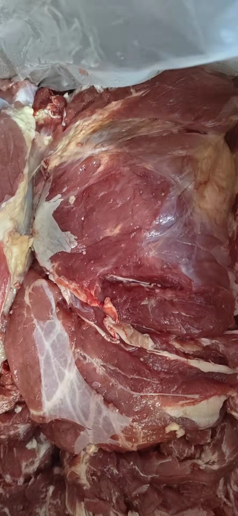 纯干鲜冻牛肉，厂家直销一手货源，物优价廉质量保证，