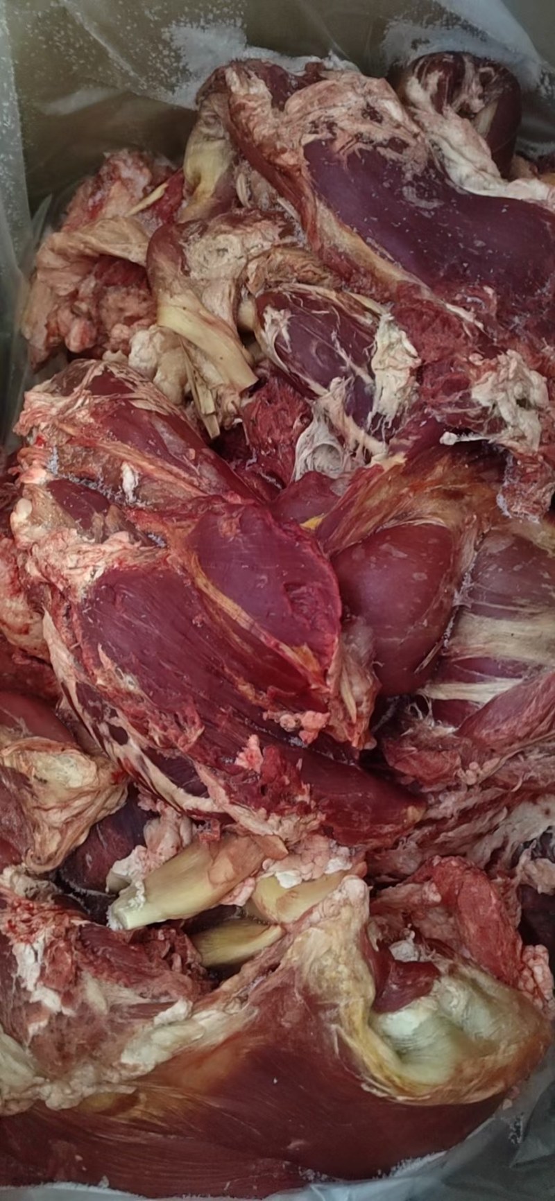 纯干鲜冻牛肉，厂家直销一手货源，物优价廉质量保证，