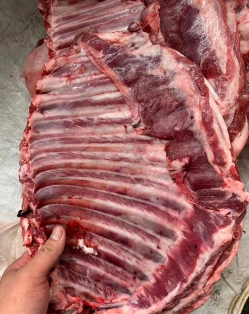 纯干鲜冻牛肉，厂家直销一手货源，物优价廉质量保证，