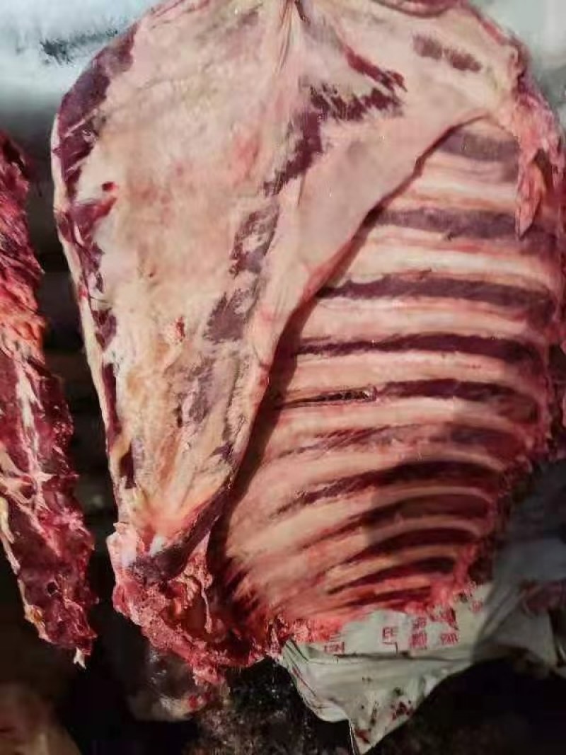 纯干鲜冻牛肉，厂家直销一手货源，物优价廉质量保证，