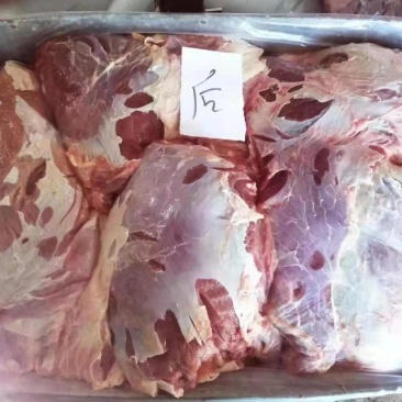 牛前后腿，牛腱牛腩，厂家直销，低价出售，质量有保障