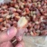 龙虾尾