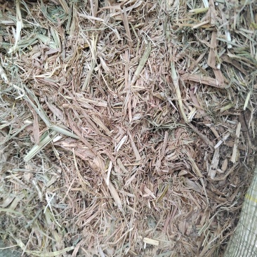 养殖用稻草，22年新鲜稻草颜色好，质量好柔丝二次加压