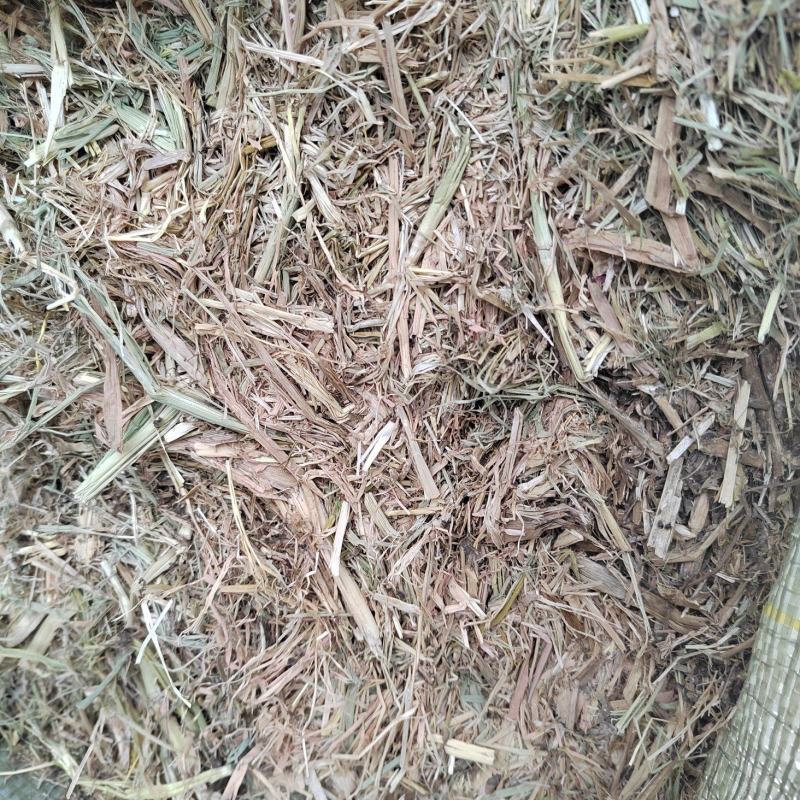 养殖用稻草，22年新鲜稻草颜色好，质量好柔丝二次加压