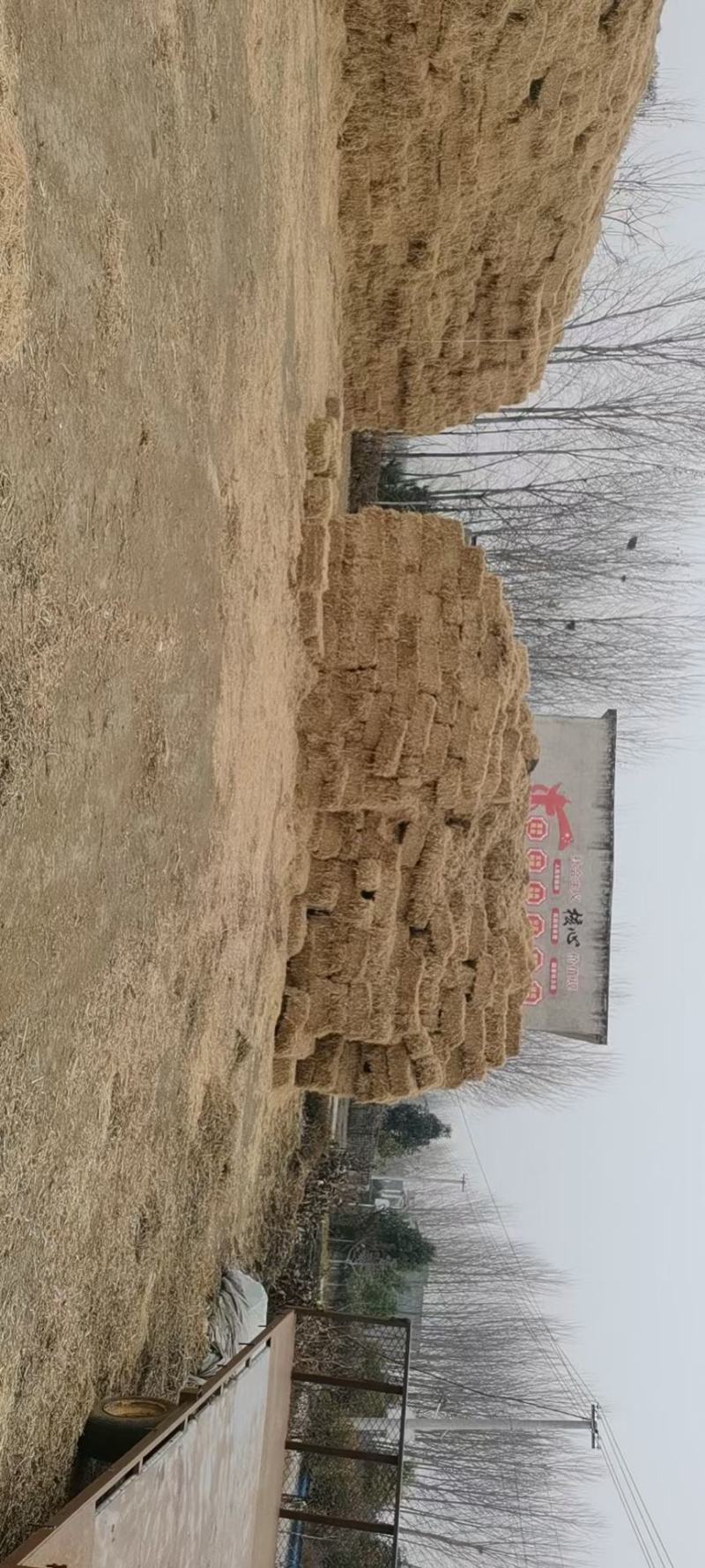养殖用稻草，22年新鲜稻草颜色好，质量好柔丝二次加压