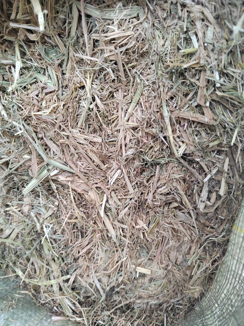 养殖用稻草，22年新鲜稻草颜色好，质量好柔丝二次加压