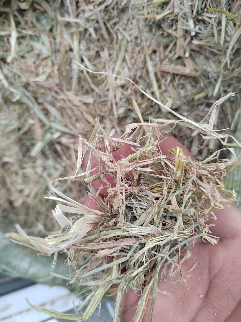 养殖用稻草，22年新鲜稻草颜色好，质量好柔丝二次加压