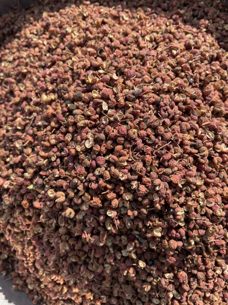 爆款山东枣庄特级食用大红袍花椒颗粒饱满味道麻香四溢
