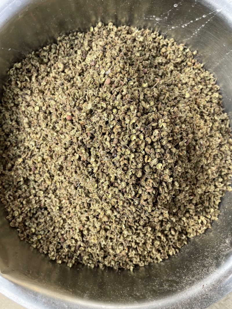 爆款山东枣庄特级食用大红袍花椒颗粒饱满味道麻香四溢