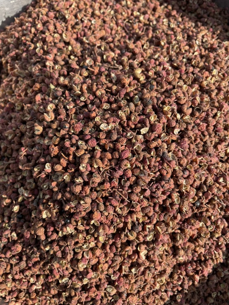 爆款山东枣庄特级食用大红袍花椒颗粒饱满味道麻香四溢