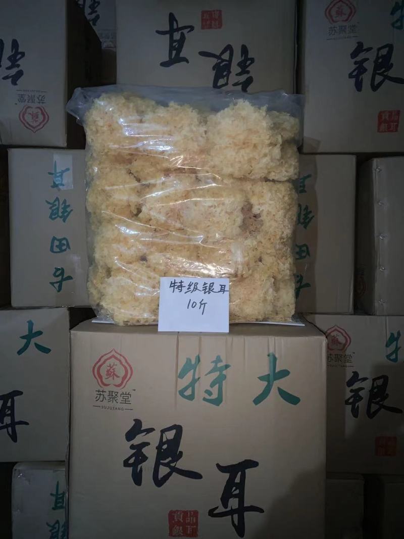 新货无熏硫白木耳银耳大花银耳500克批
