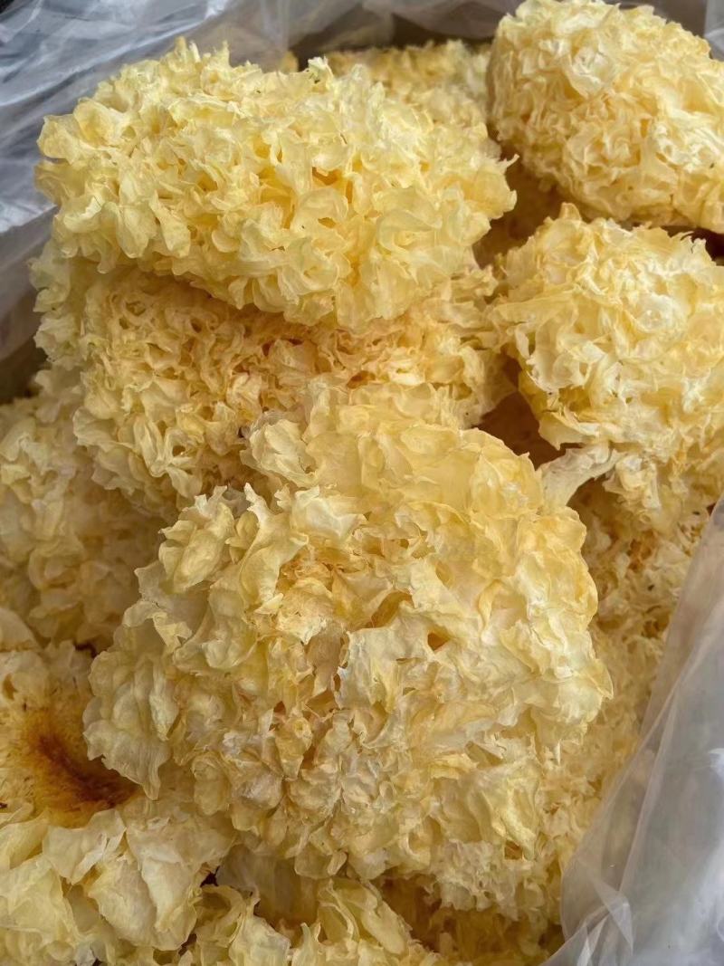 新货无熏硫白木耳银耳大花银耳500克批