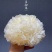 新货无熏硫白木耳银耳大花银耳500克批