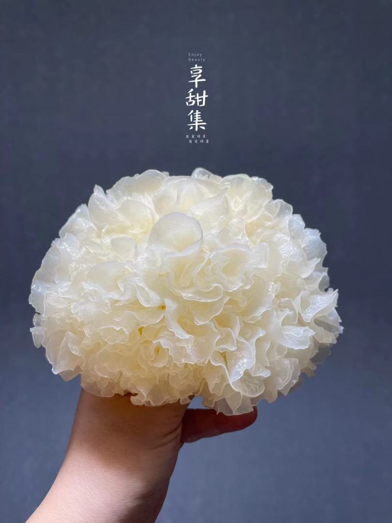新货无熏硫白木耳银耳大花银耳500克批