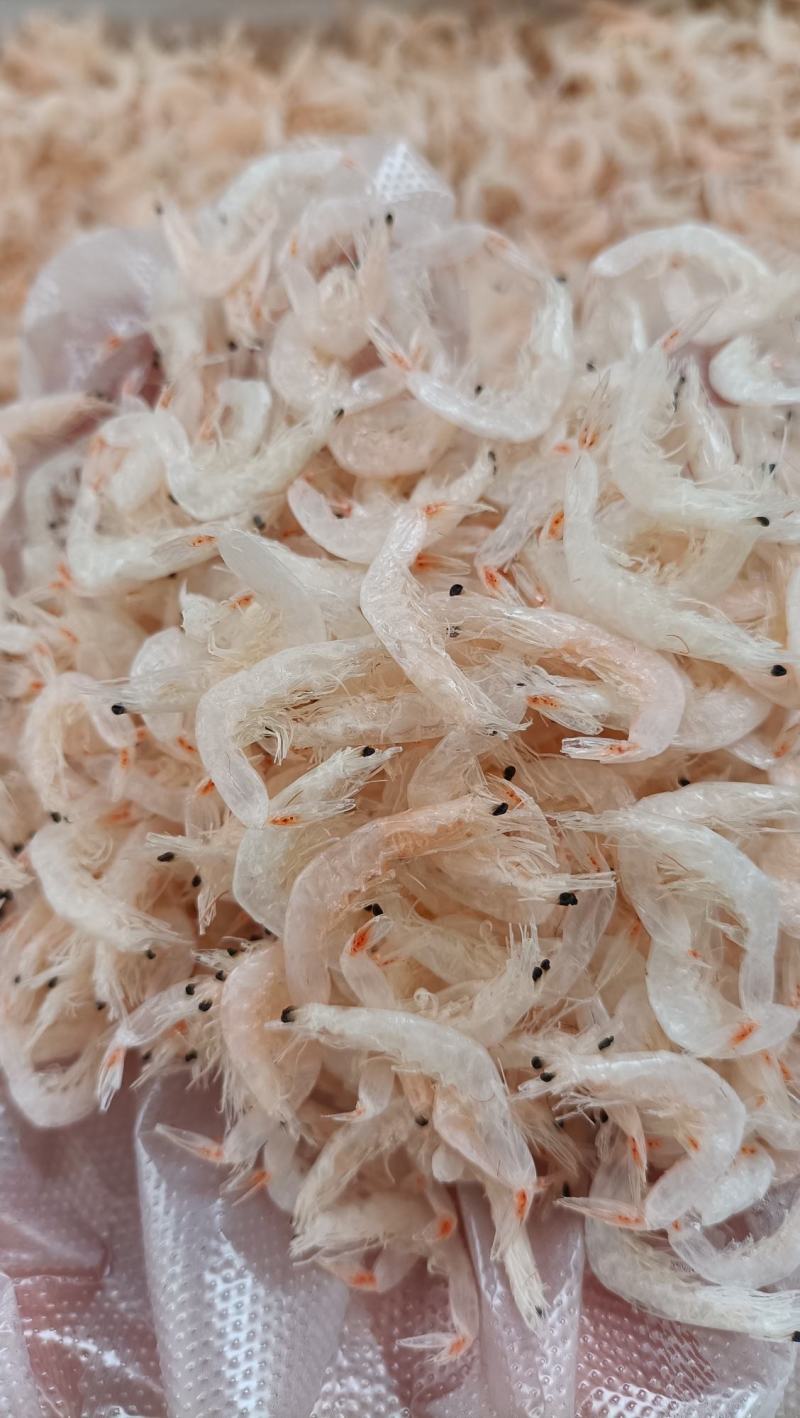 甜晒淡干虾皮.无盐淡干虾皮.大个头带肉肉的