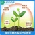 抗旱防冻液，抗冻，防冻，解冻，预防倒春寒，伤害
