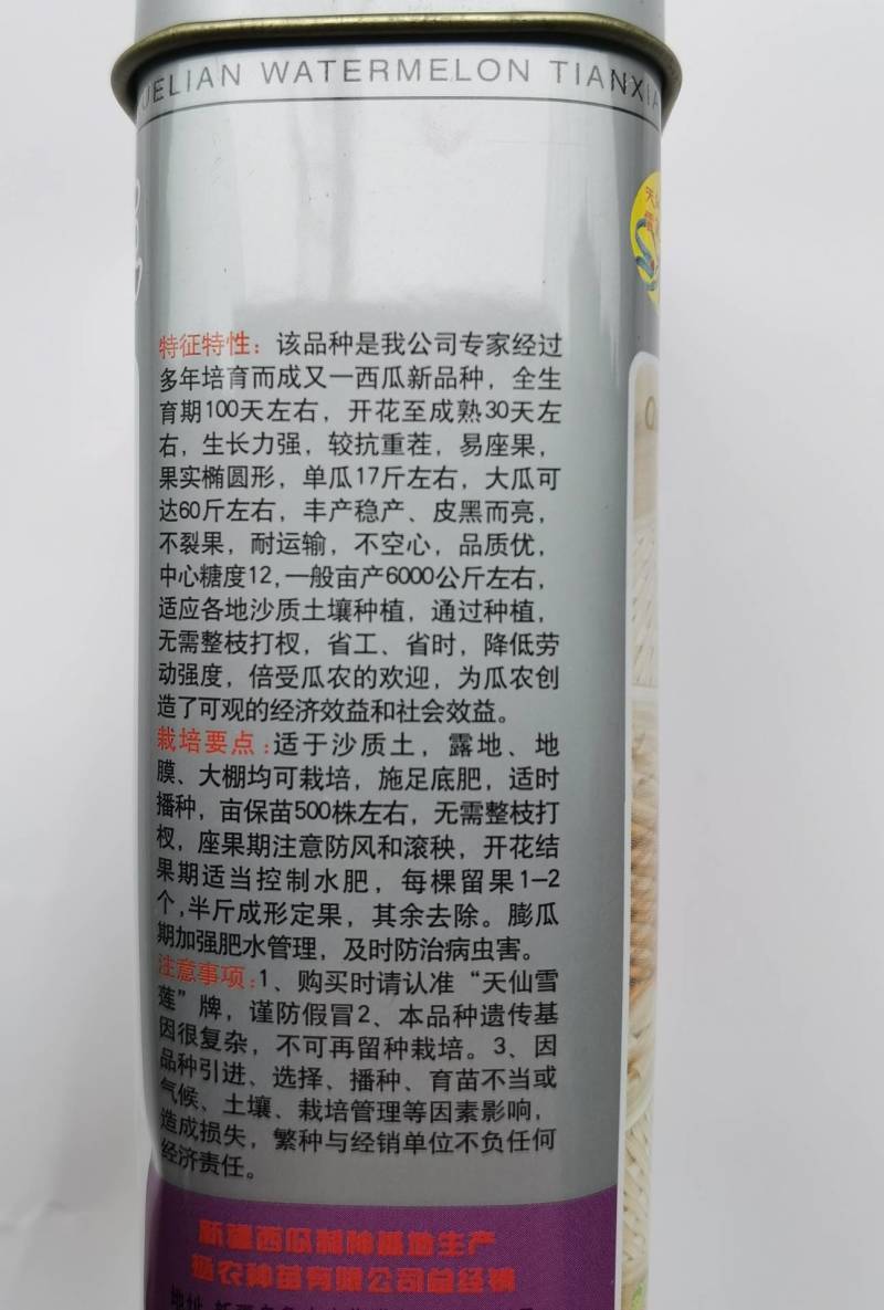 【特大黑皮】美国懒汉黑皮王西瓜种子巨大不整枝打叉纯黑皮