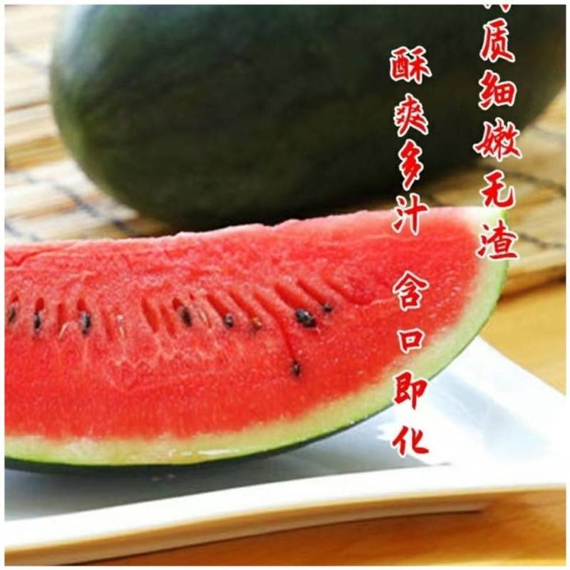 【特大黑皮】美国懒汉黑皮王西瓜种子巨大不整枝打叉纯黑皮