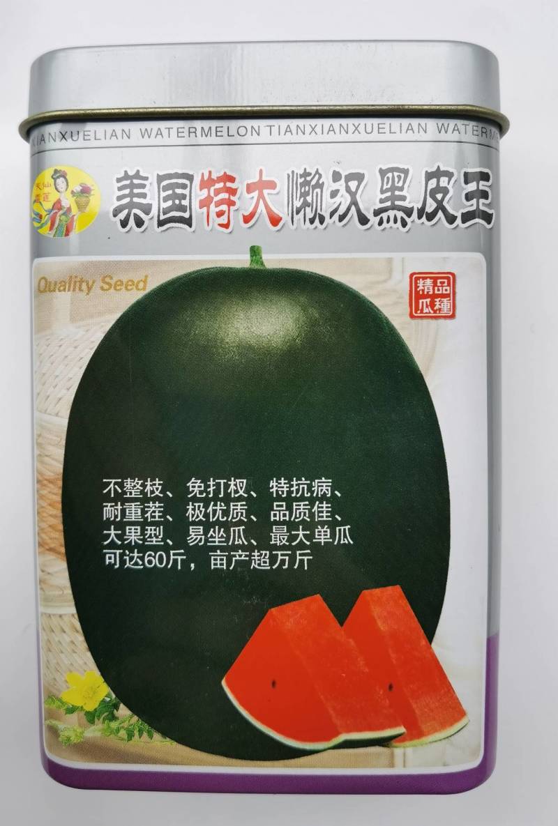 【特大黑皮】美国懒汉黑皮王西瓜种子巨大不整枝打叉纯黑皮