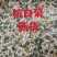 白菊花、杭菊、7月新货、足干无硫磺、大货批发包邮