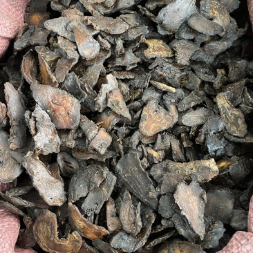 正品新疆野生肉苁蓉中药材