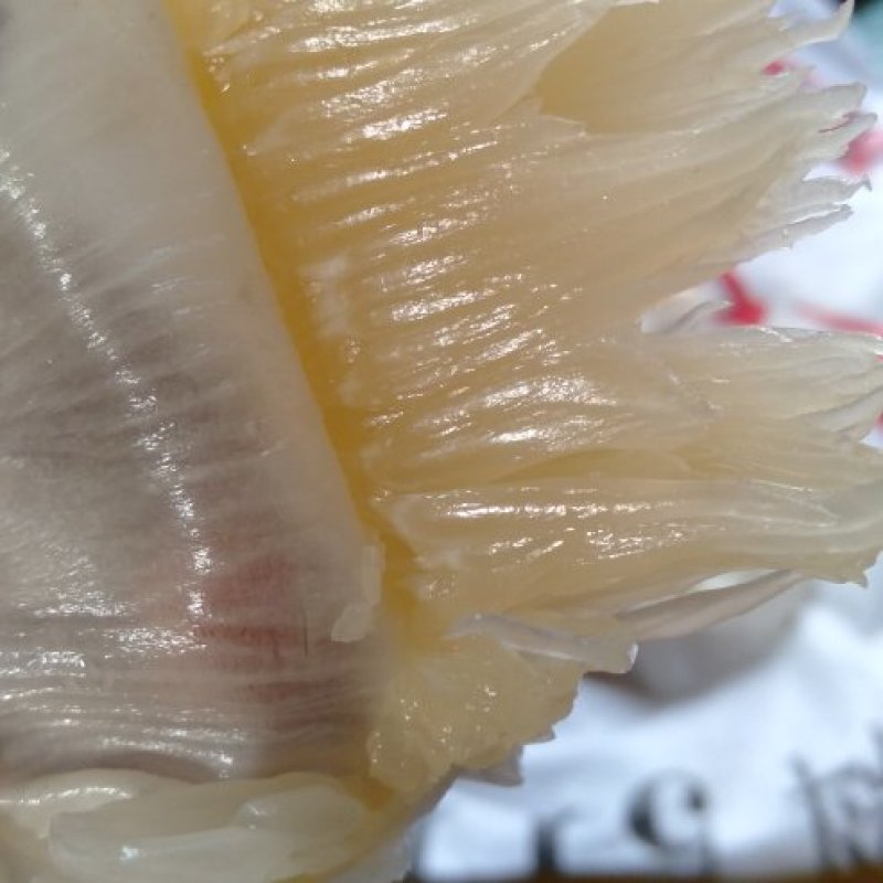 大量批发正宗精品老树纯甜沙田柚可大量供应电商货