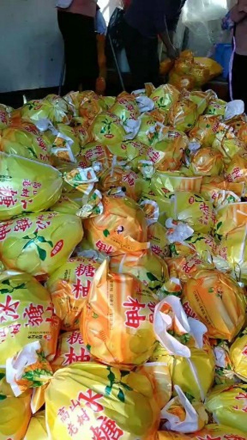 大量批发正宗精品老树纯甜沙田柚可大量供应电商货