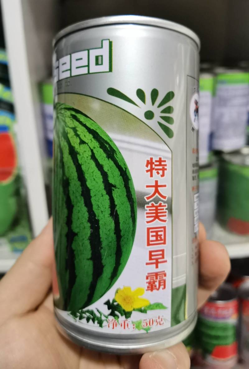 【耐裂京欣】美国早霸西瓜种子早熟耐裂耐低温麒麟超8424