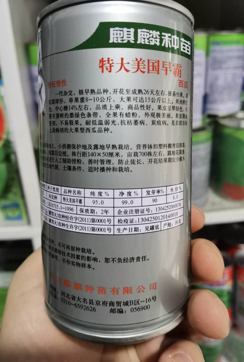 【耐裂京欣】美国早霸西瓜种子早熟耐裂耐低温麒麟超8424