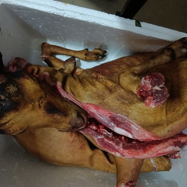 羊肉